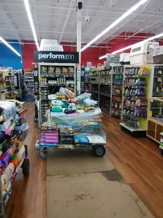 Pet Supermarket Picture 7