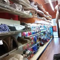 Pet Supermarket ico