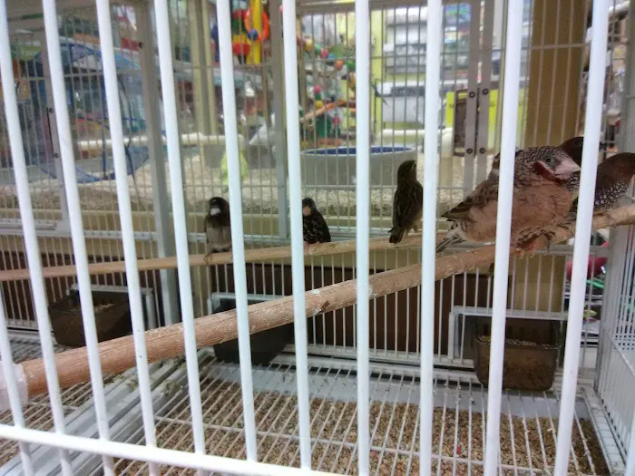 Pet Supermarket Picture 5
