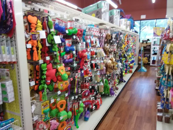 Pet Supermarket Picture 3