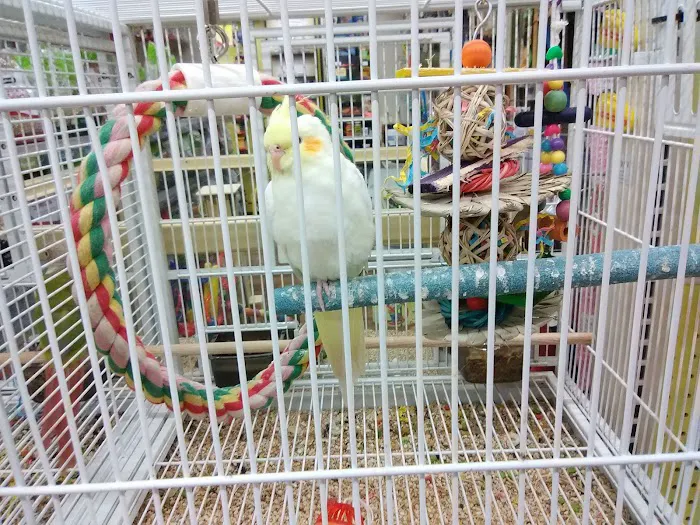 Pet Supermarket Picture 8