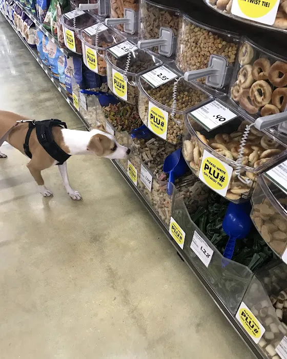 Pet Supplies Plus Atlantic Beach Picture 5