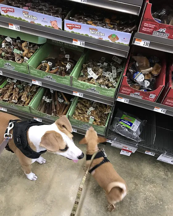 Pet Supplies Plus Atlantic Beach Picture 1