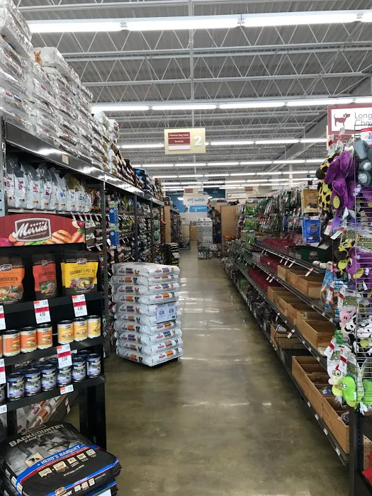 Pet Supplies Plus Atlantic Beach Picture 4