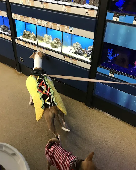 Pet Supplies Plus Atlantic Beach Picture 2