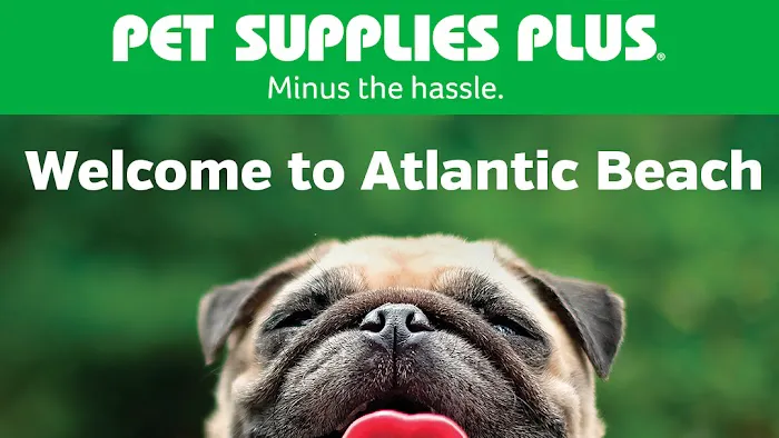 Pet Supplies Plus Atlantic Beach Picture 10