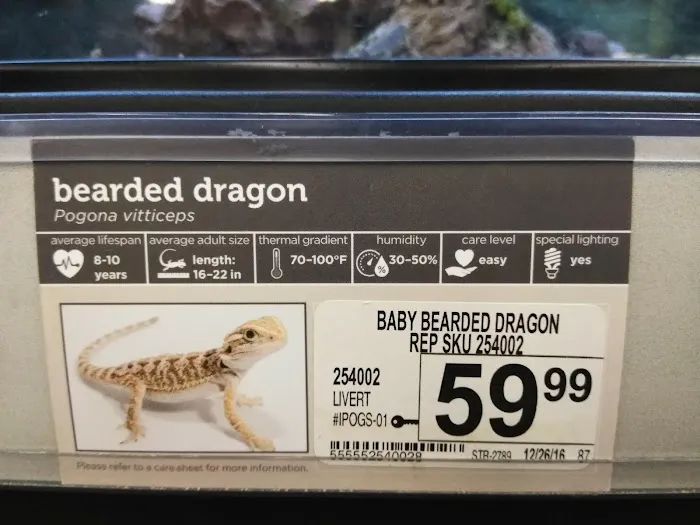 Petco Picture 4