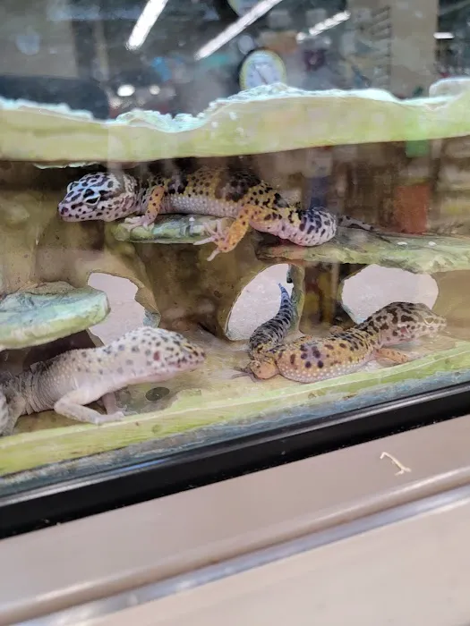 Petco Picture 6
