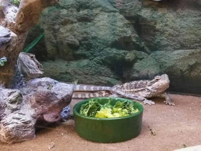 Petco Picture 2