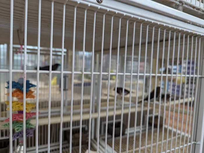 Pet Supermarket Picture 1