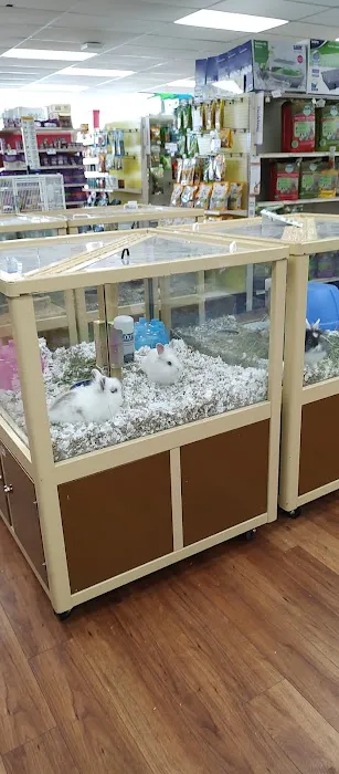 Pet Supermarket Picture 5