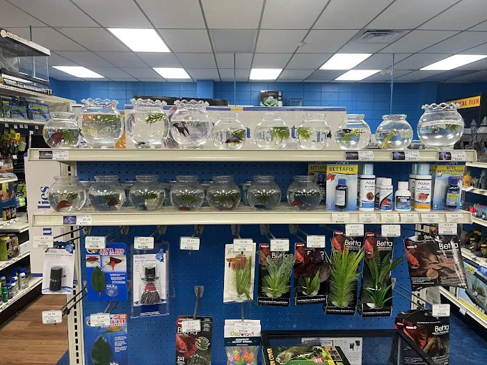 Pet Supermarket Picture 2