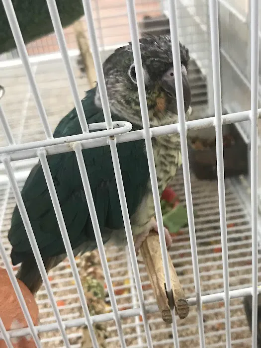 Pet Supermarket Picture 10