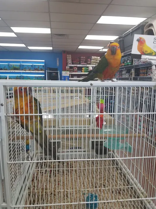 Pet Supermarket Picture 4