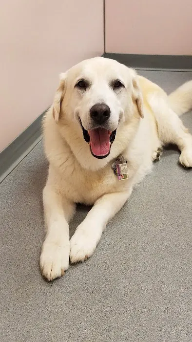 Prospect Veterinary Hospital Picture 4