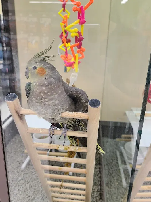 Petco Picture 6