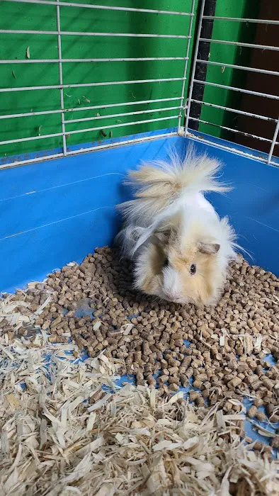 Wild Things Exotic Animals Picture 4