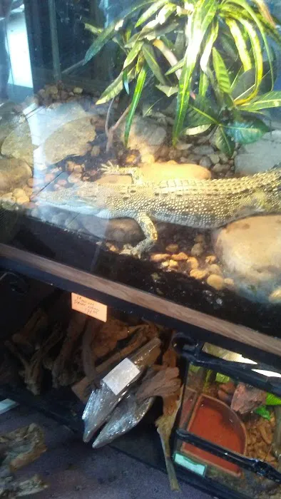 Wild Things Exotic Animals Picture 6