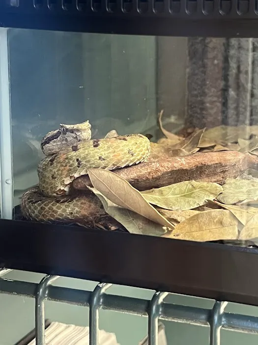 Wild Things Exotic Animals Picture 9
