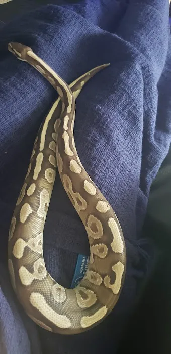 Wild Things Exotic Animals Picture 5