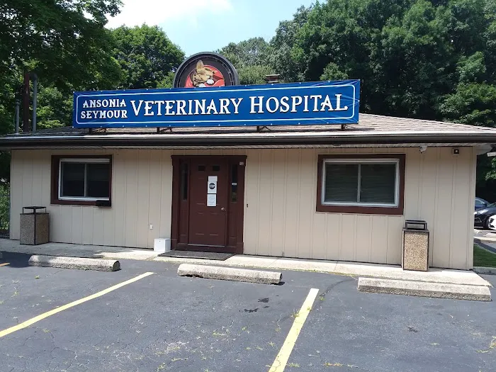 Ansonia Seymour Veterinary Hospital Picture 5