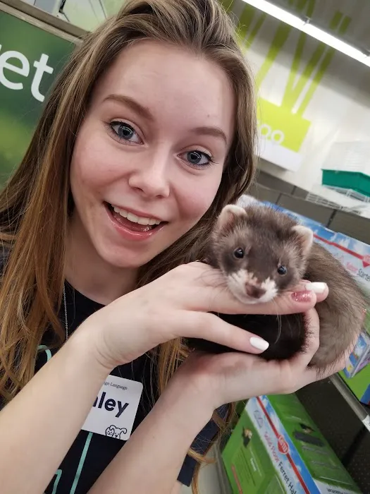 Petco Picture 2