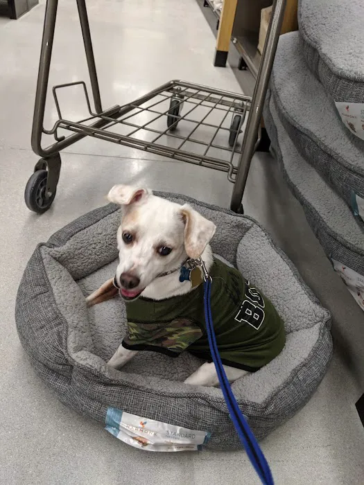 Petco Picture 6