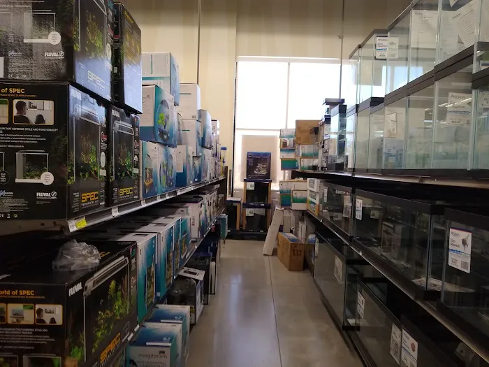 Petco Picture 5