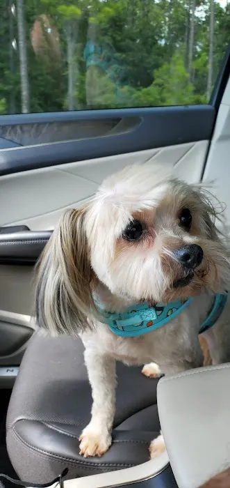 Petco Picture 4