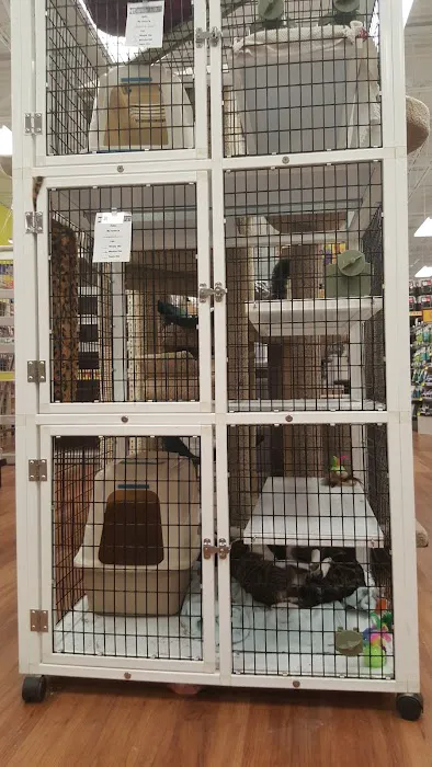 Pet Supermarket Picture 1