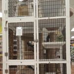 Pet Supermarket
