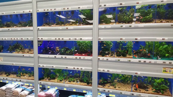 Pet Supermarket Picture 5