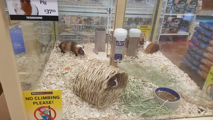 Pet Supermarket Picture 2