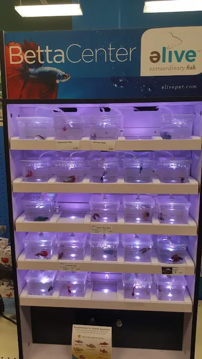 Pet Supermarket Picture 4