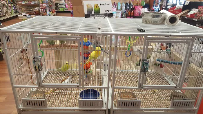 Pet Supermarket Picture 3