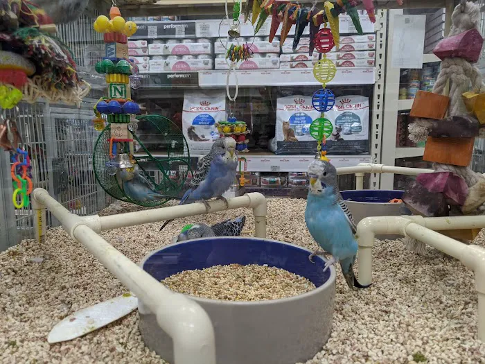 Pet Supermarket Picture 6