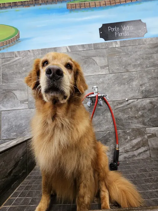 Pet Supermarket Picture 7