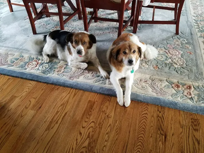 Countryside Veterinary Hospital Picture 10