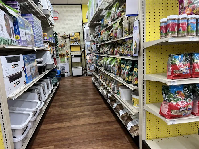 Pet Supermarket Picture 4