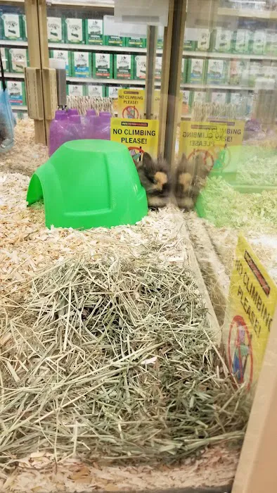 Pet Supermarket Picture 2