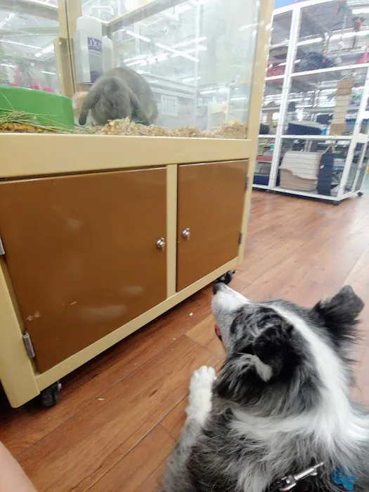 Pet Supermarket Picture 9