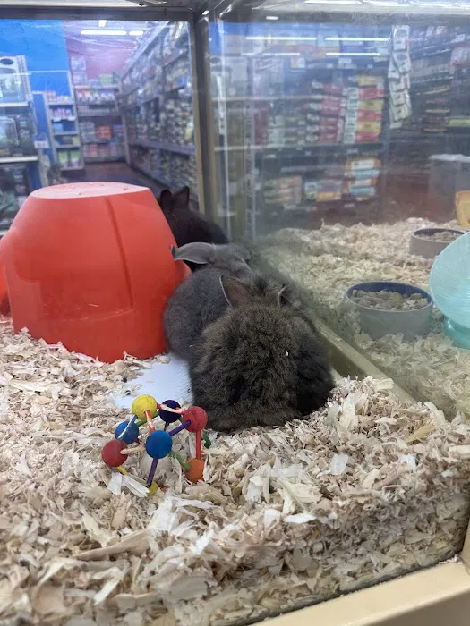 Pet Supermarket Picture 10