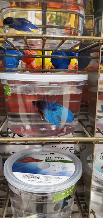 Petco Picture 8