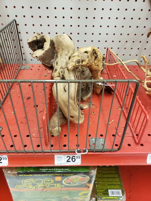 Petco Picture 5