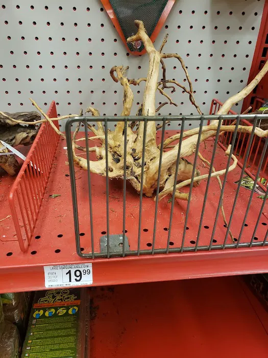 Petco Picture 6