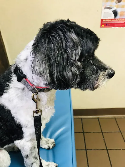 Bethany Veterinary Hospital Picture 3