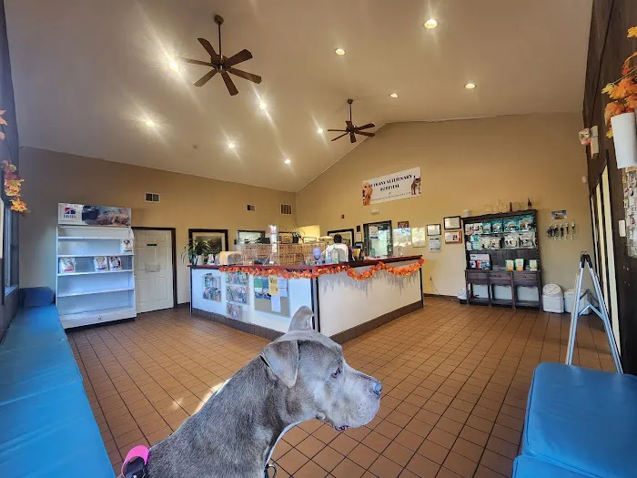 Bethany Veterinary Hospital Picture 7