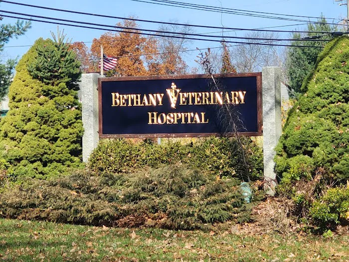 Bethany Veterinary Hospital Picture 6