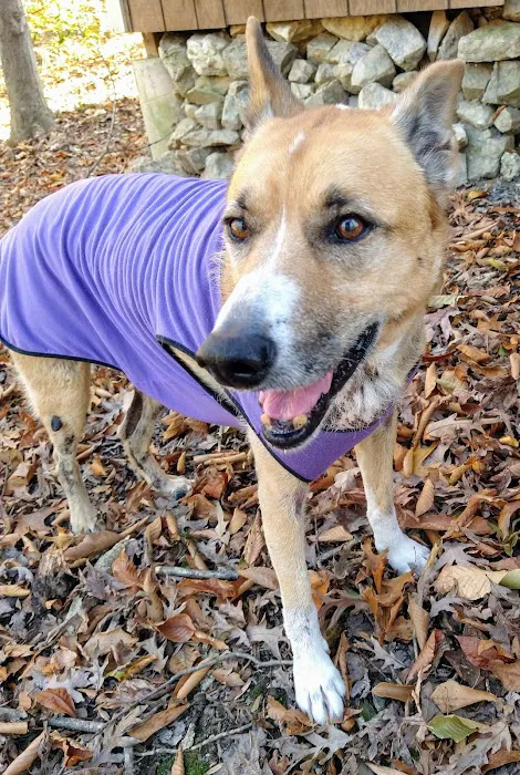 Herndon Animal Medical Center Picture 1