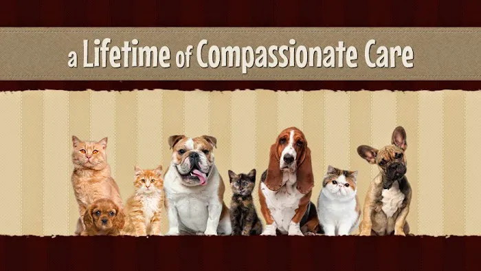 Herndon Animal Medical Center Picture 6